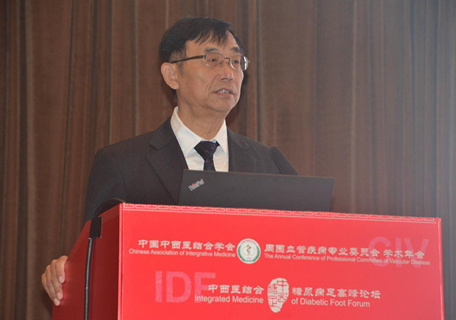 我院楊博華教授、章(zhāng)新根主任出席第5屆中西(xī)醫(yī)結合糖尿病足高(gāo)峰論壇(圖4)