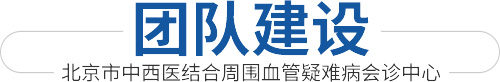 團隊建設-北(běi)京市(shì)中西(xī)醫(yī)結合中衛血管疑難病會(huì)診中心